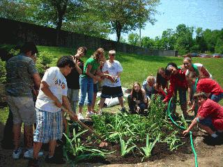 Students at Batchelor Middle School install a rain garden.