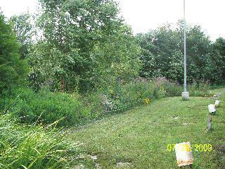 The same area of the Highway Garage property after rain garden installation.