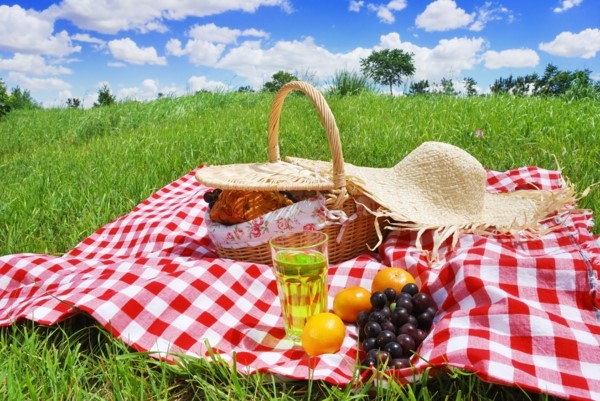 Picnic Photo