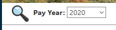 LTISearchAndPayYear
