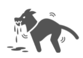 rabies