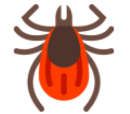 ticks